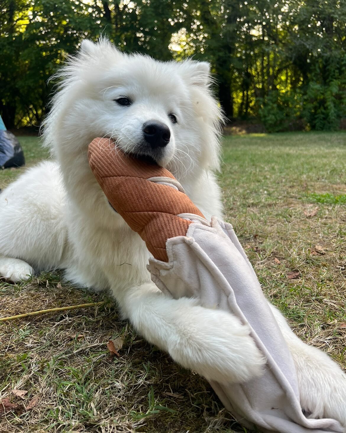 BAGUETTE - Lambwolf collective - dog toy