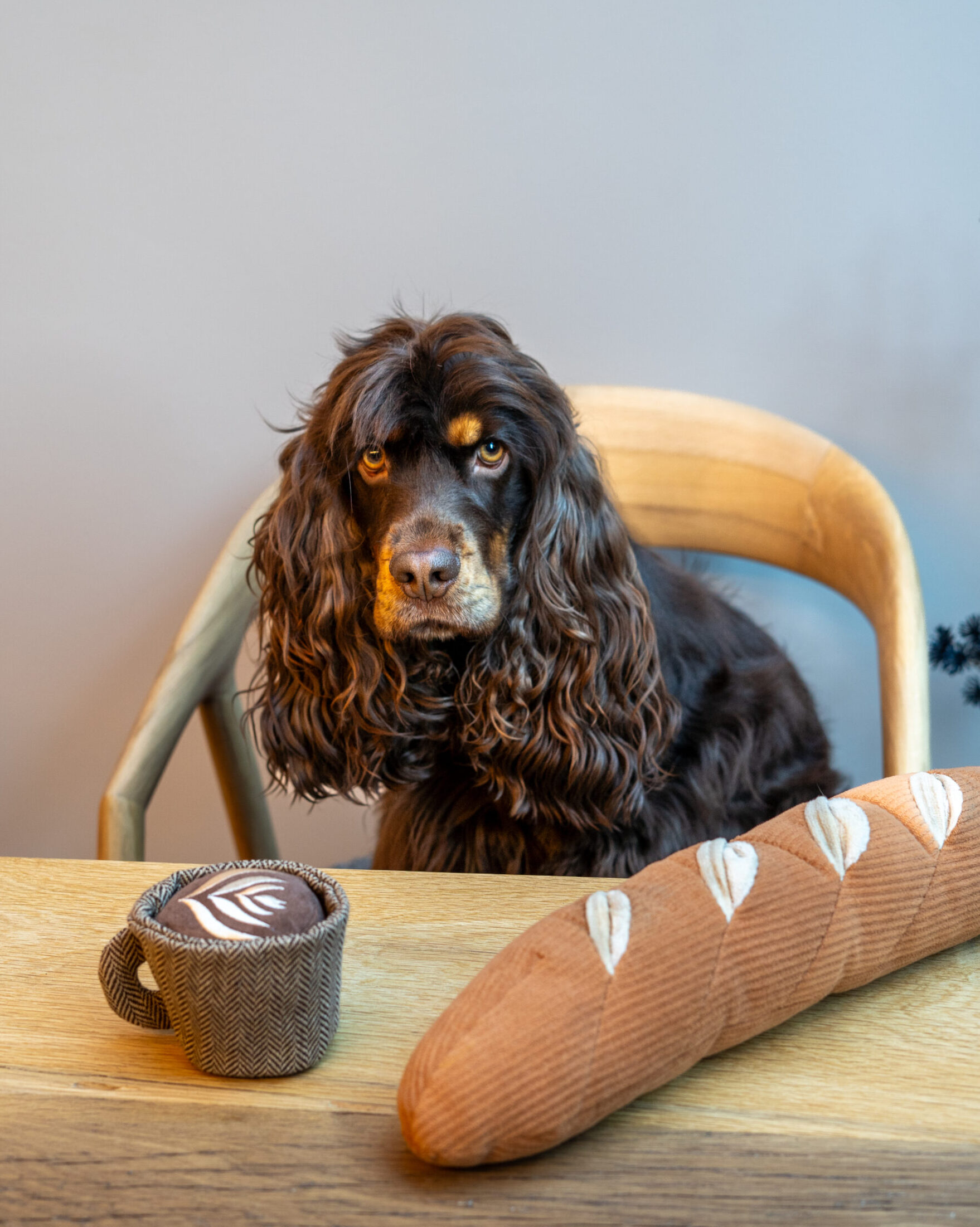 BAGUETTE - Lambwolf collective - dog toy