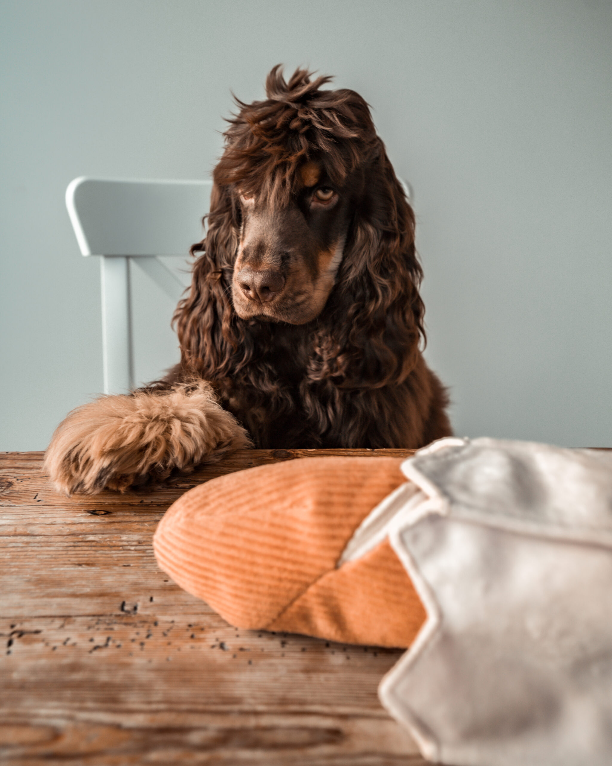 BAGUETTE - Lambwolf hondenspeelgoed - Cocker Spaniel Oscaar