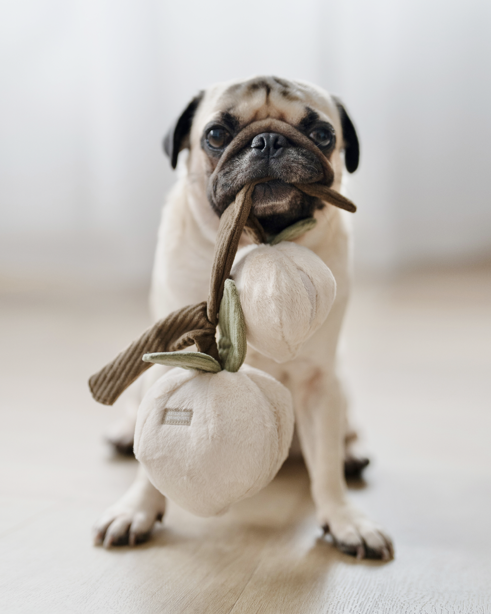 MOMO snuffel perzik - Afbeelding 5