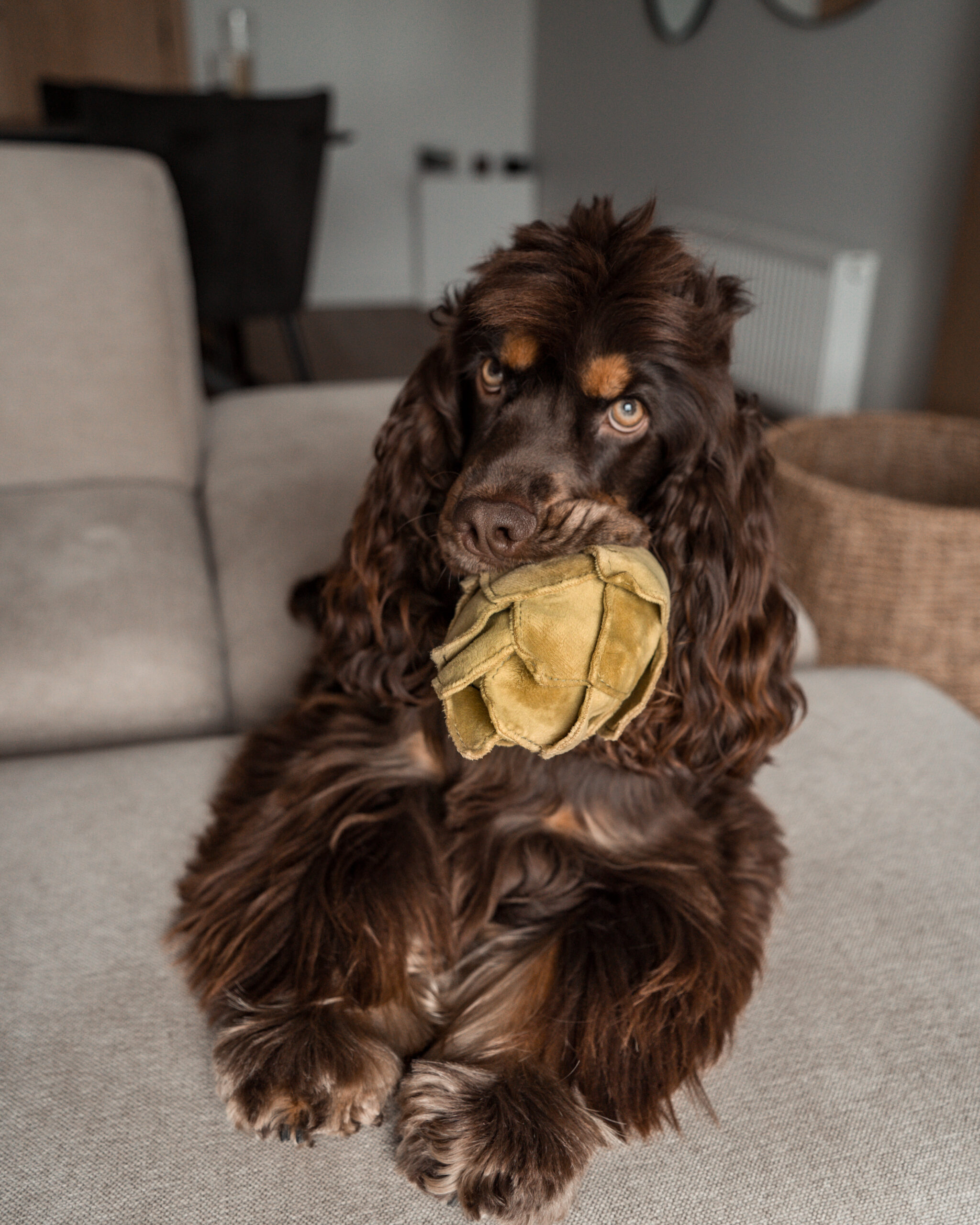 Artisjok honden speelgoed - Lambwolf