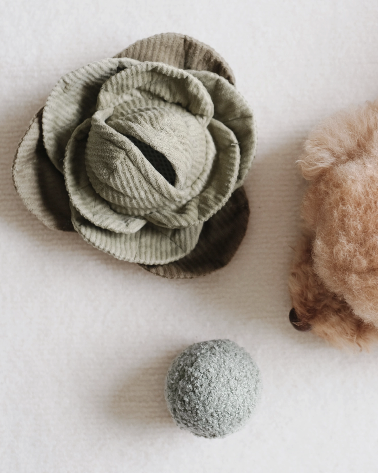 CABBAGE POP - Lambwolf collective dog toy