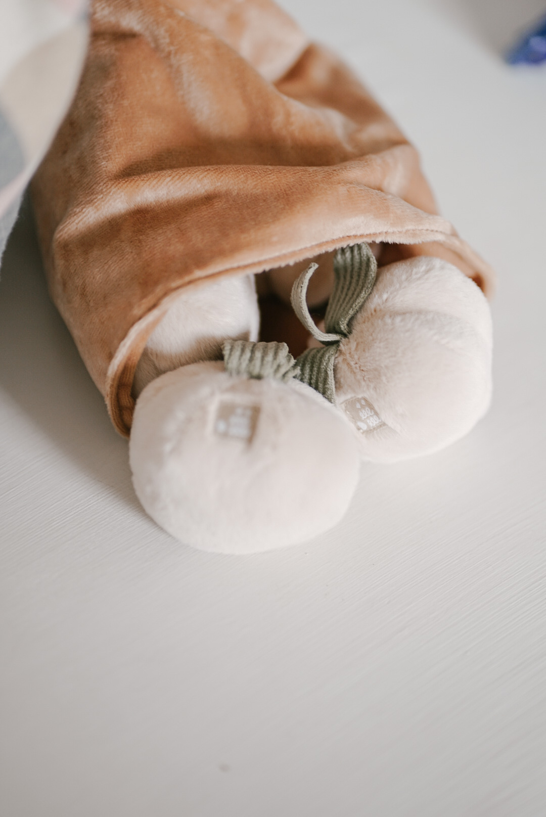 MOMO - Little Lamb kind