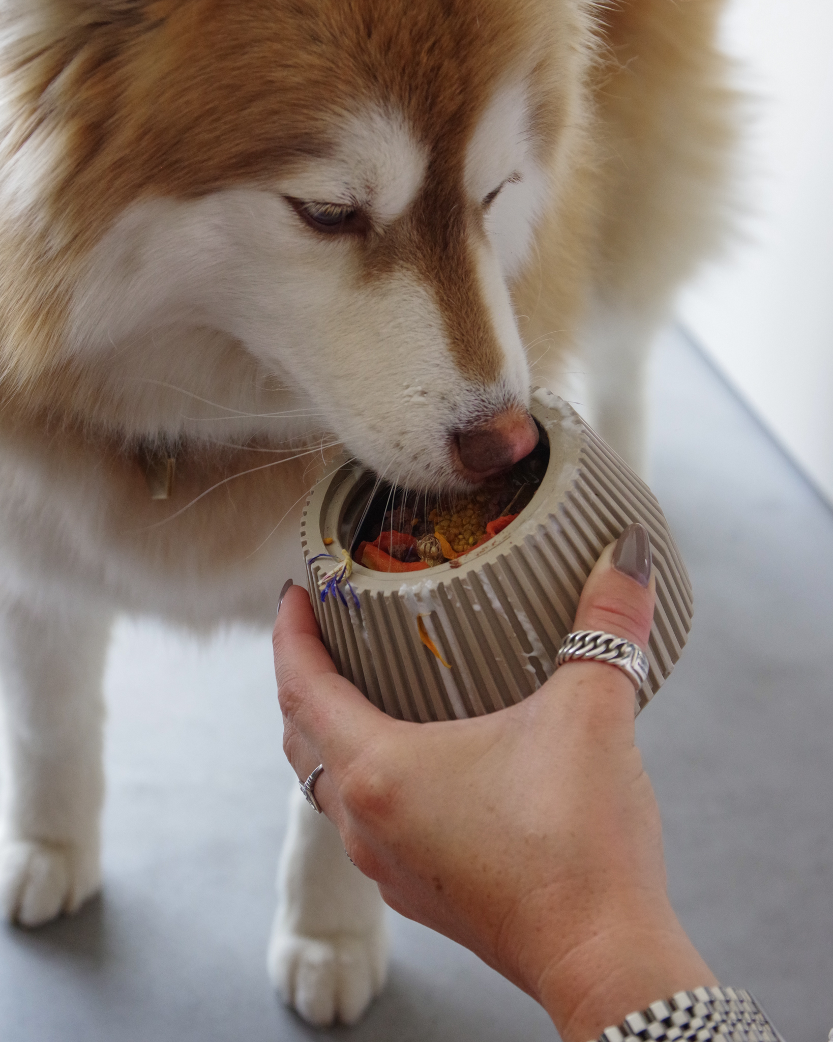 YUME | LIEVICK enrichment toy