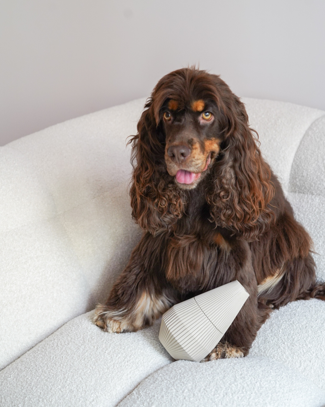 YUME - LIEVICK enrichment product - dog toy