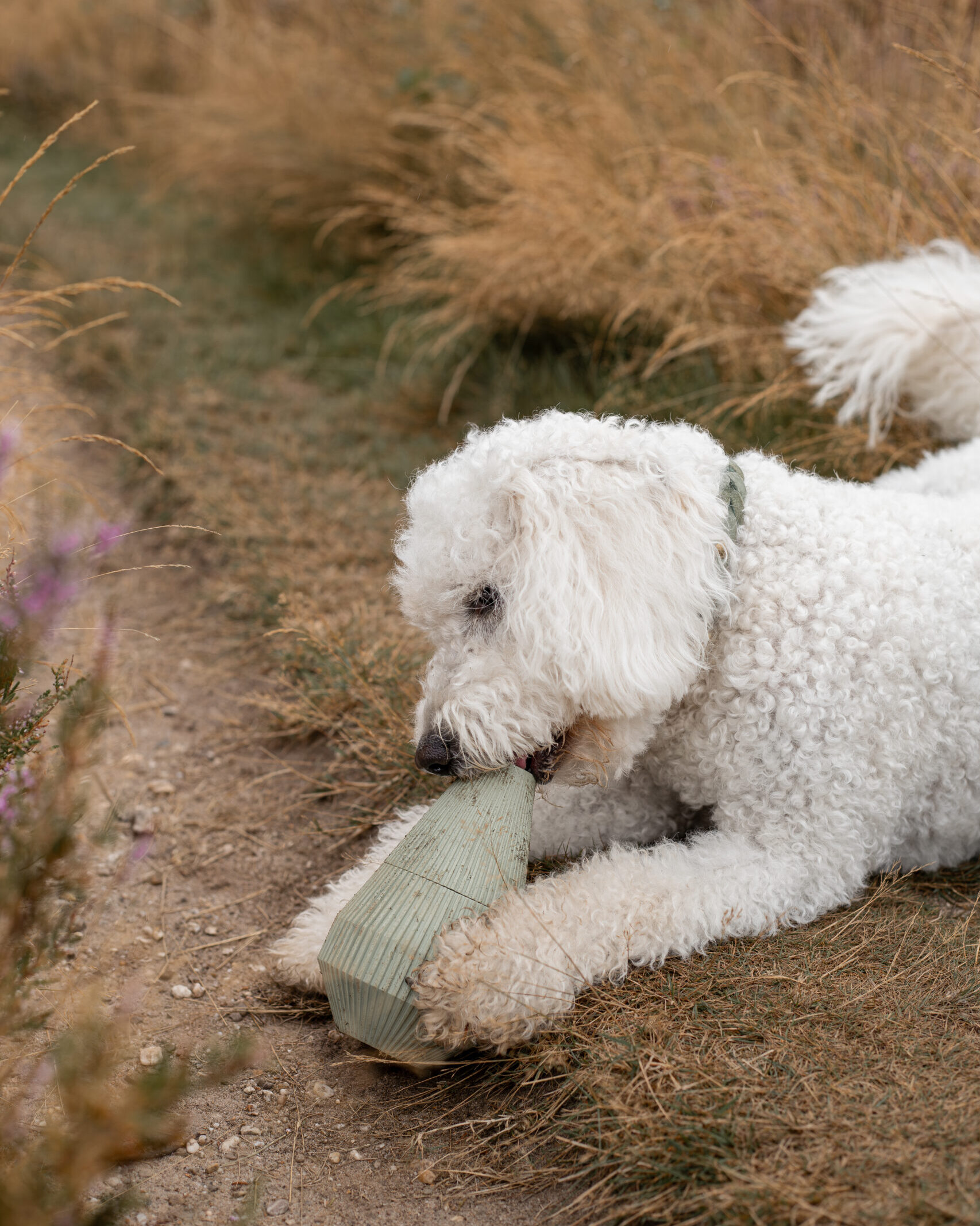 YUME - LIEVICK enrichment product - dog toy