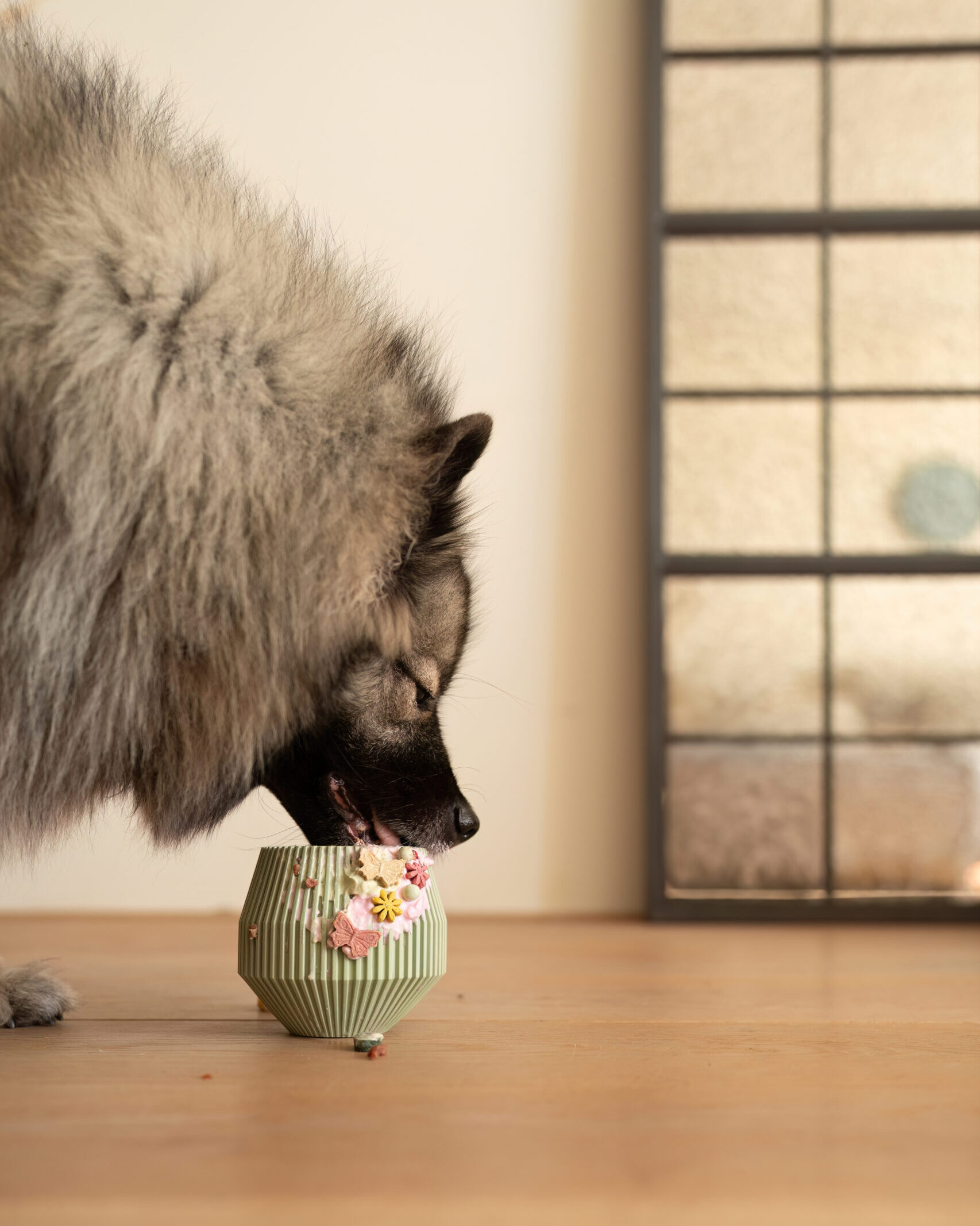 YUME - LIEVICK enrichment product - dog toy