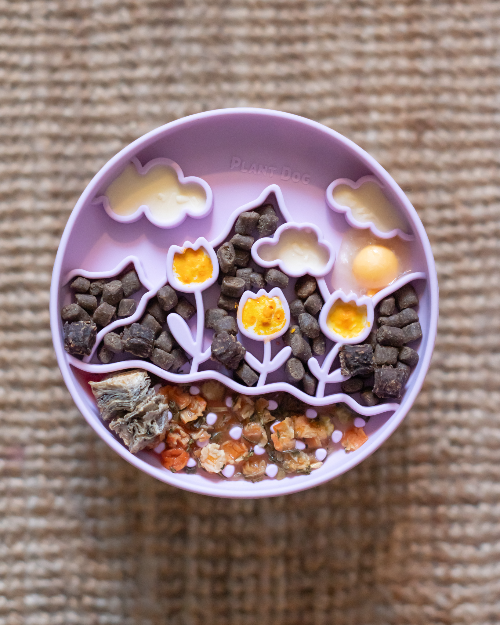 Meadow slofeeder lilac - plantdoga
