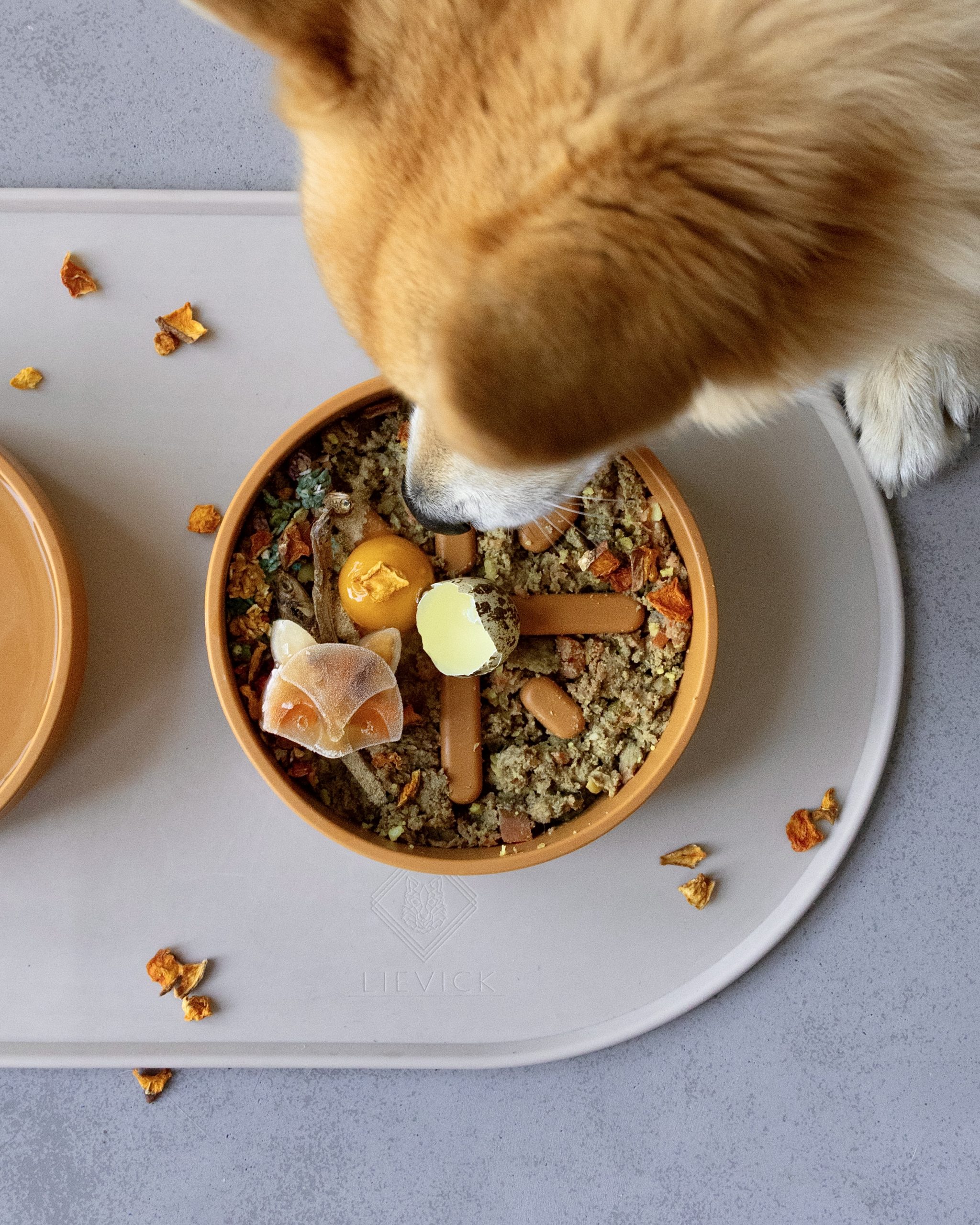 Emery pets | Treat mold