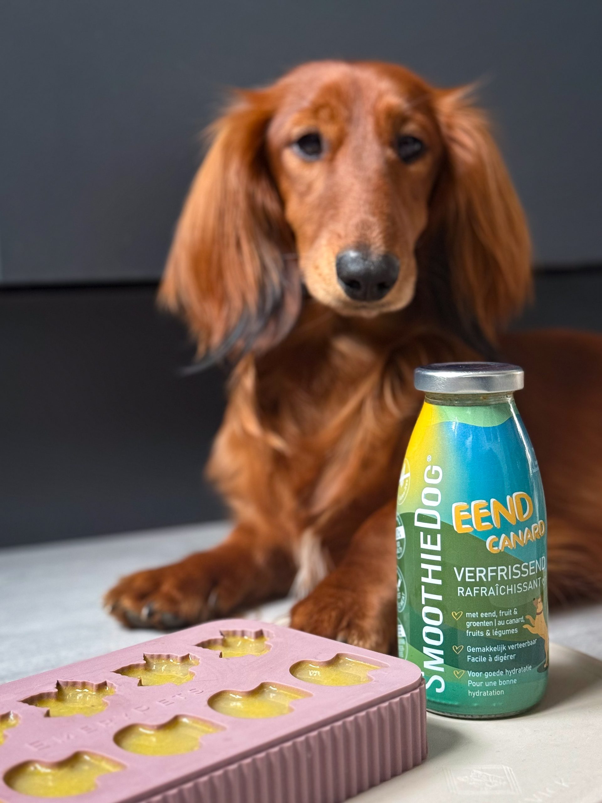 Emery pets | Treat mold