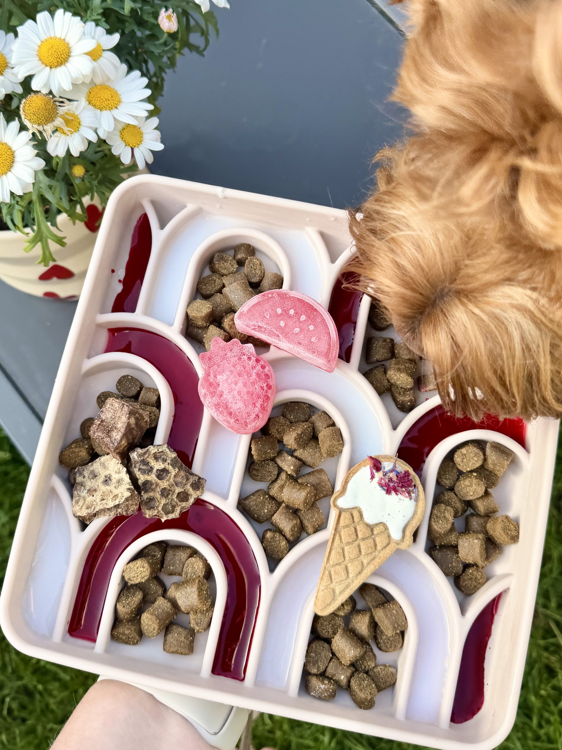 Emery pets | Treat mold