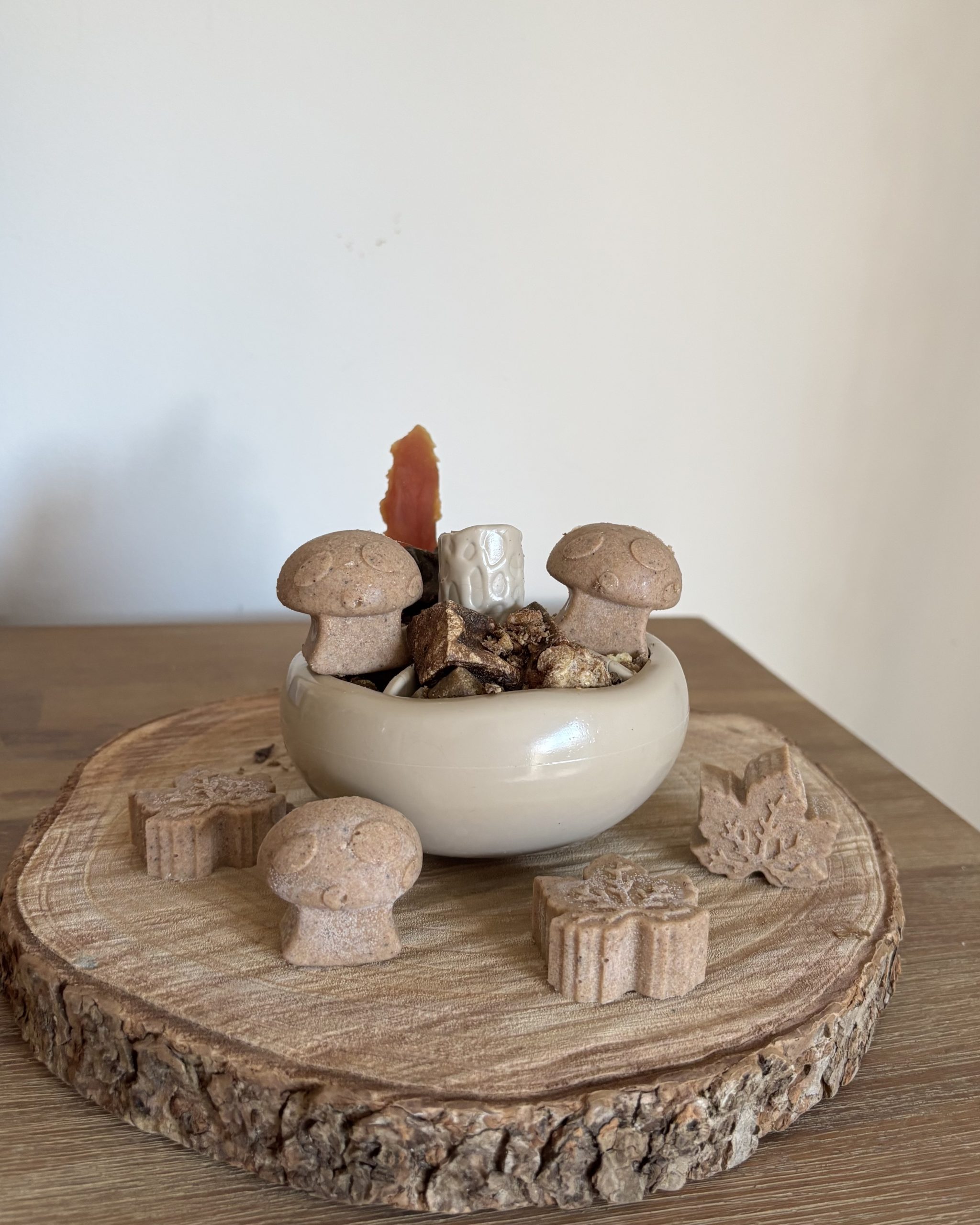 Emery pets | Treat mold