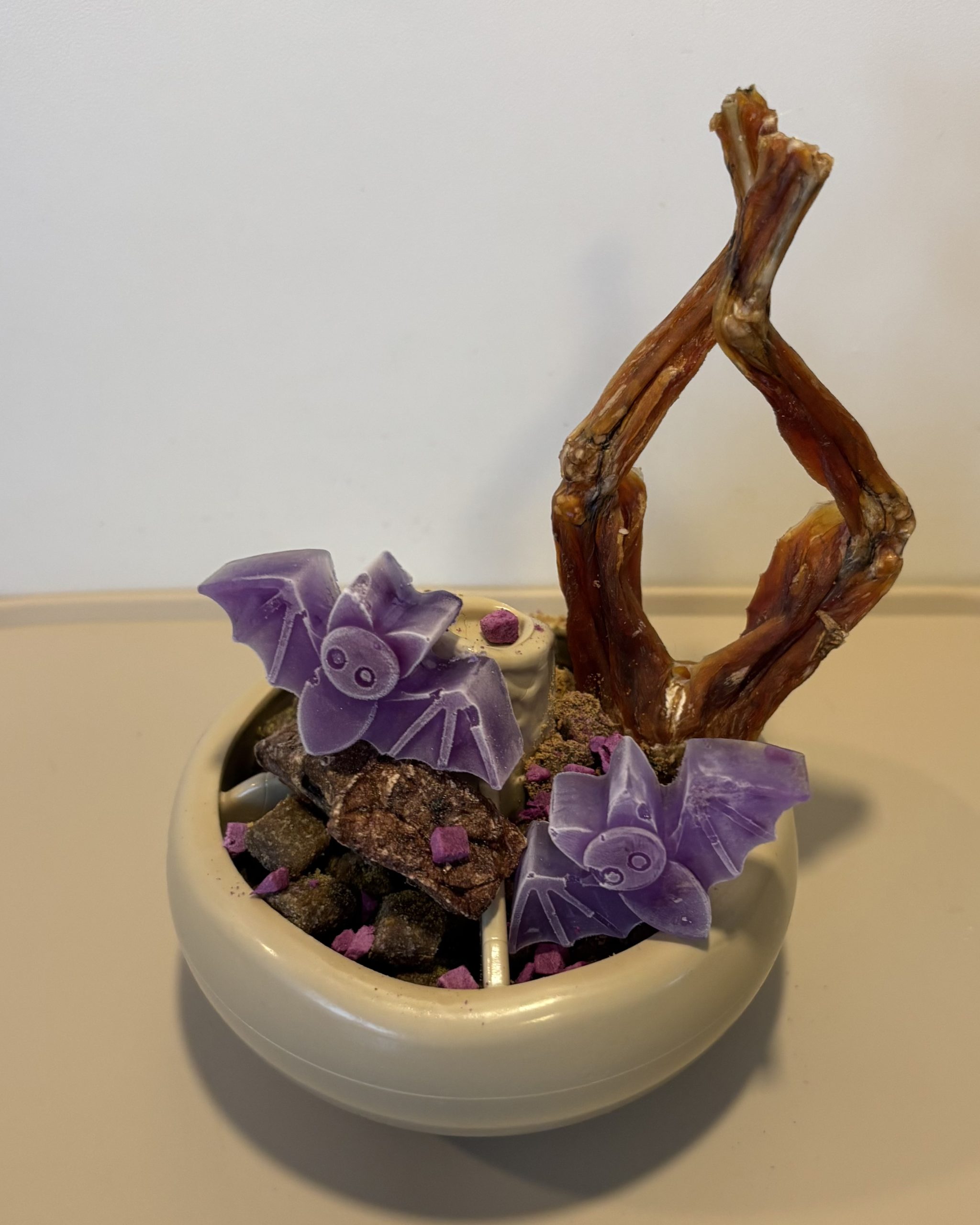 Emery pets | Treat mold