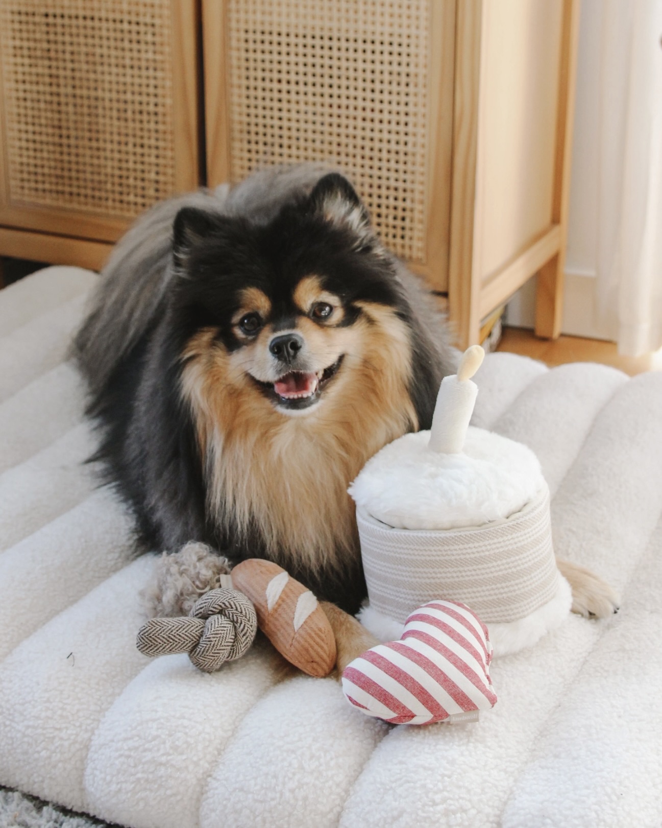 Birthday cake - Lambwolf collective - honden speelgoed