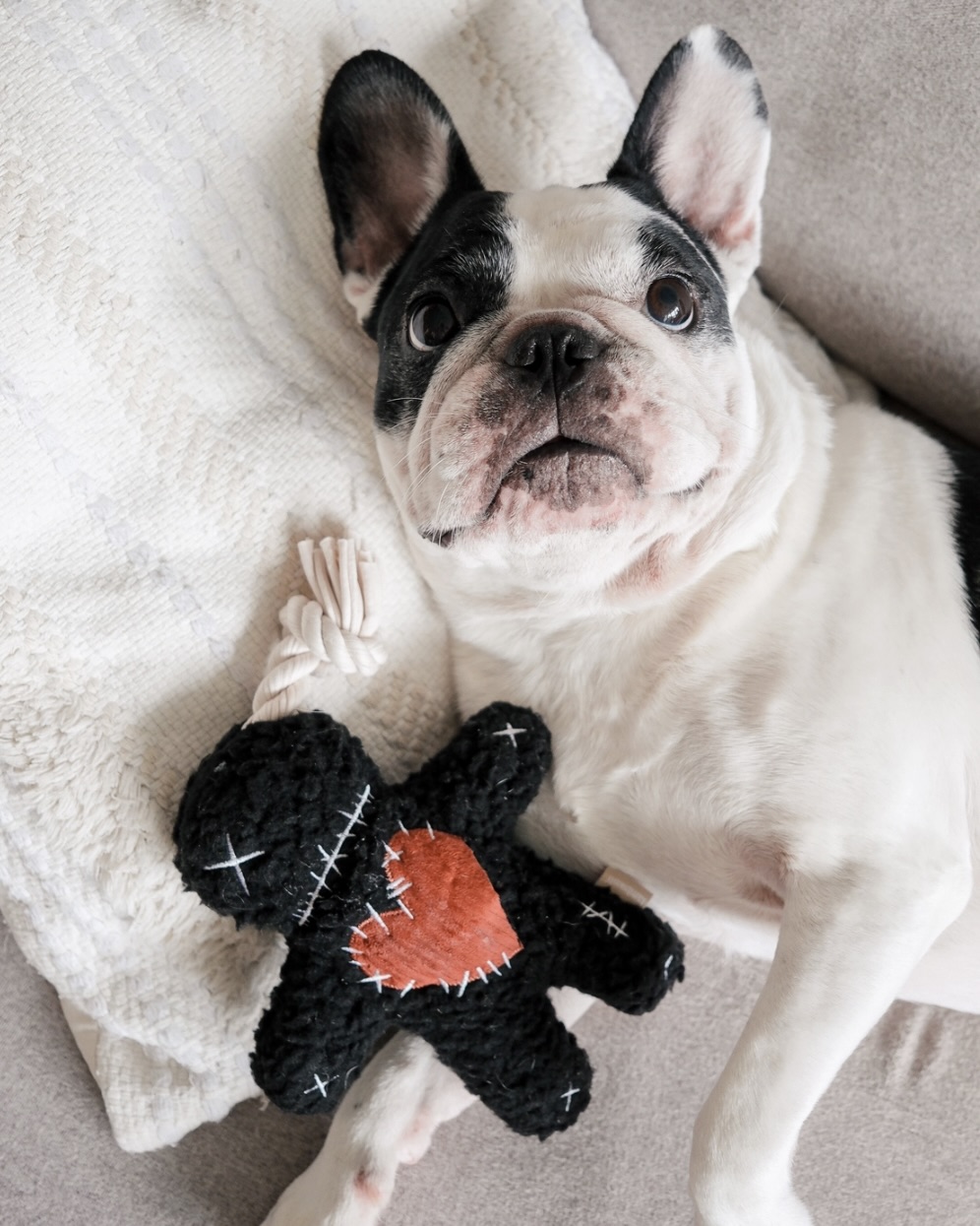 Voodoo toy - lambwolf collective honden speelgoed