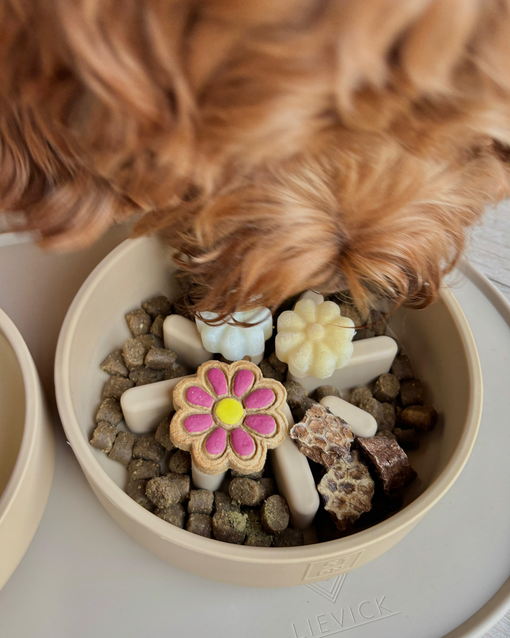 Dog Slowfeeder medium